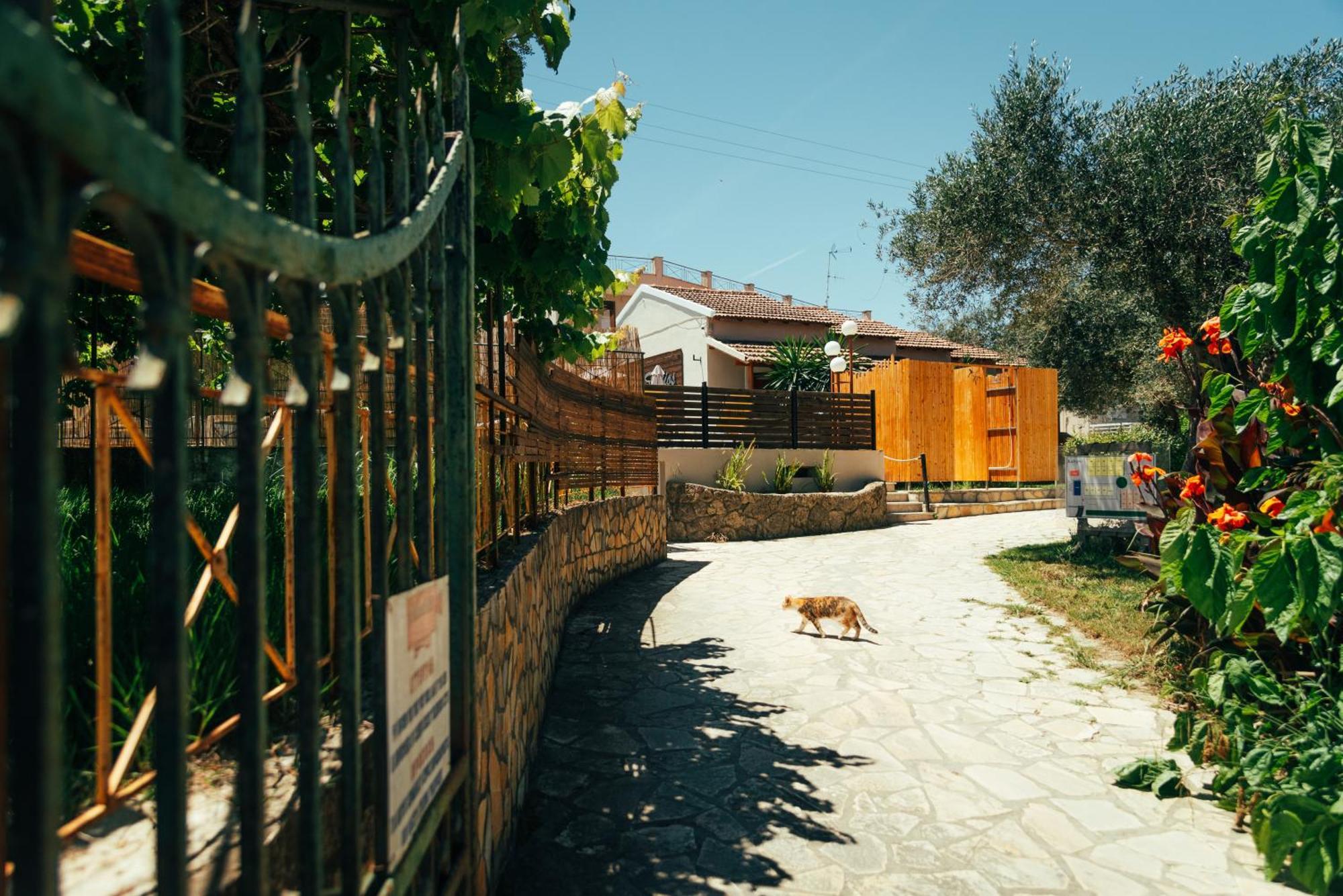 Kalypso Studio Resorts Кавос Экстерьер фото